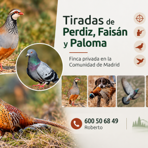 Tiradas de Perdiz, Faisán y Paloma