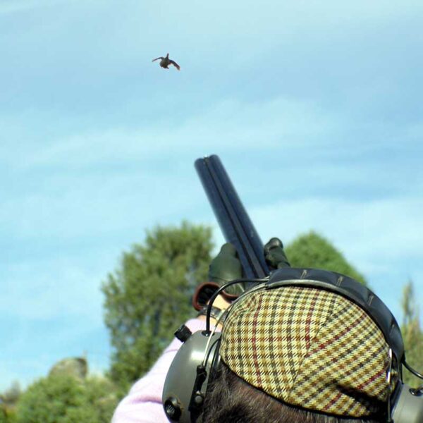 Ojeos de perdiz Aranjuez