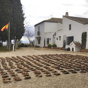 Finca de J.J. Gómez Caza